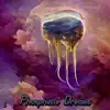 Shaggles - Phosphene Dreams - Single